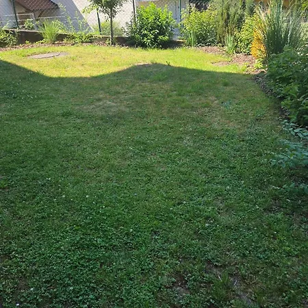 Ferienwohnung Bernhardswald شقة Bernhardswald